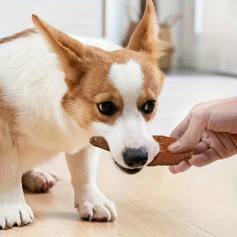 Beef Jerky Pet Treats – Healthy Snacks for Dogs & Cats